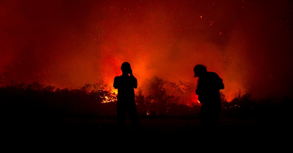 Greenpeace blasts Indonesia for not imposing tough penalties for forest fires