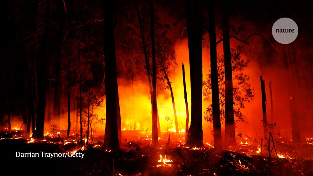 Catastrophic Australian bushfires derail research