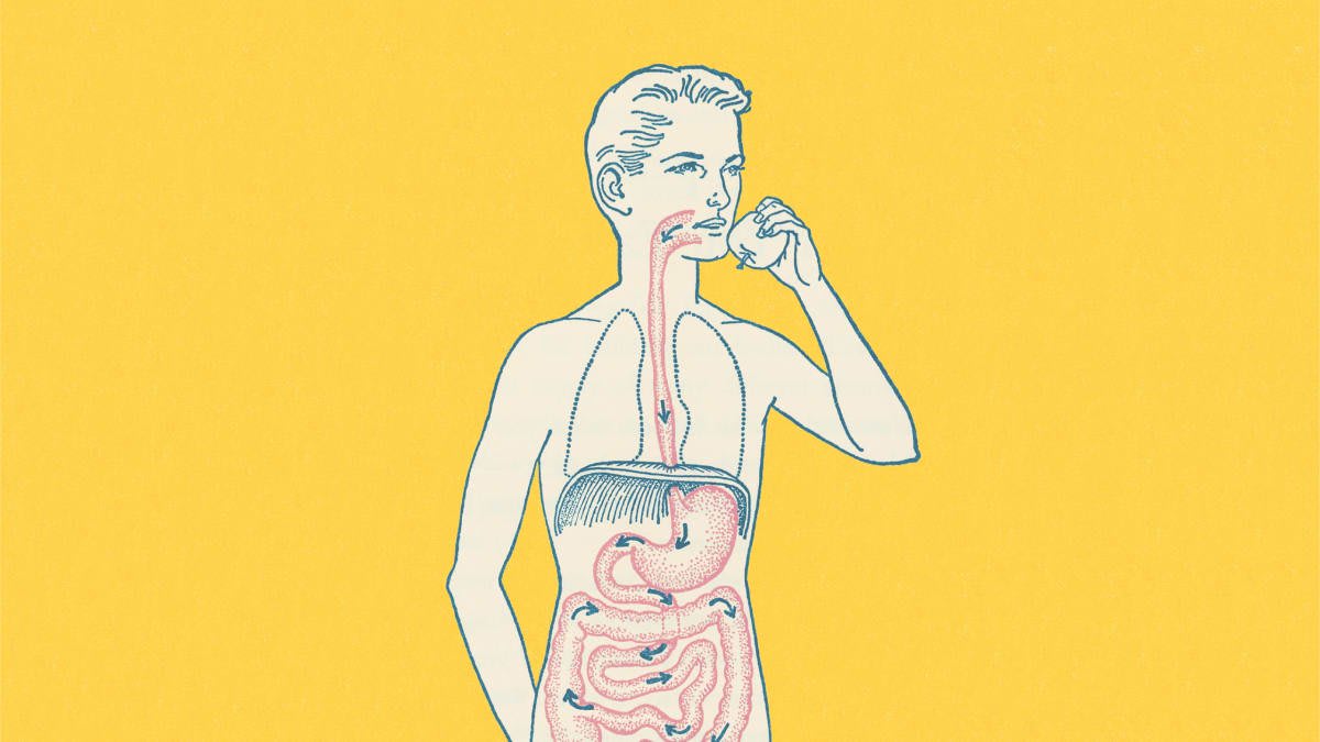 Sorry Docs, Leaky Gut Syndrome Is Real