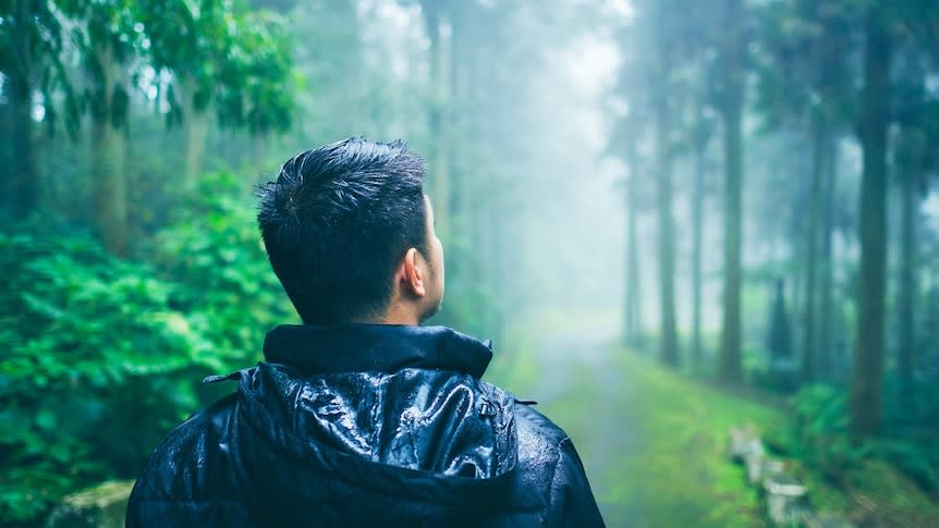 Feel blue? See green: How spending time in nature can improve your mental health