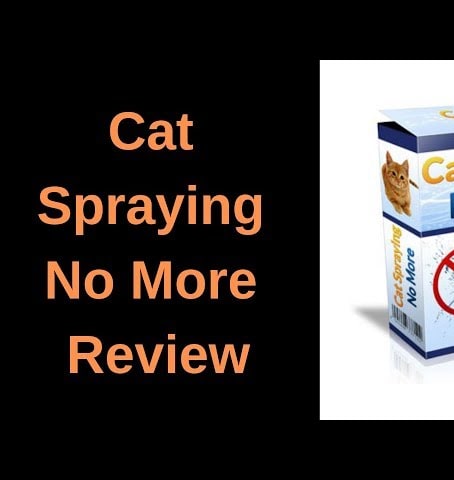 Cat Spraying No More Review - What is inside the pdf!