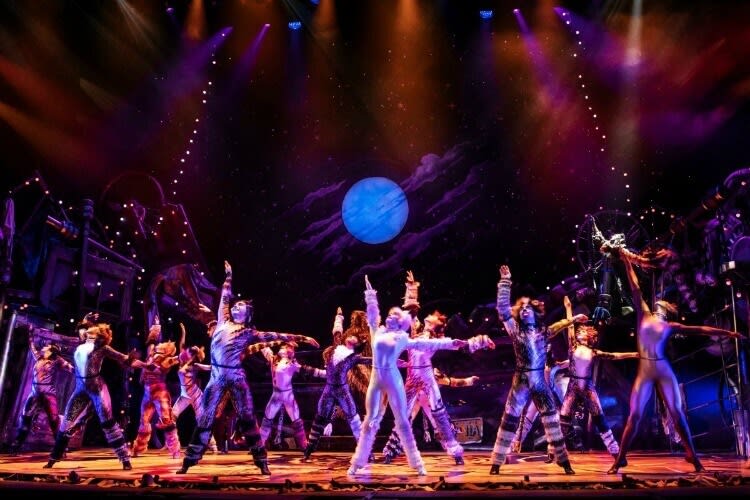 Broadway At TPAC: Opening Night Of CATS