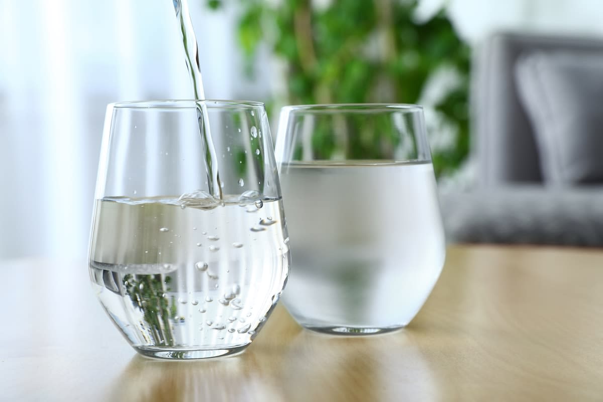 What is the Difference Between Water Filters and Water Purifiers? - SpringWell Water Filtration Systems