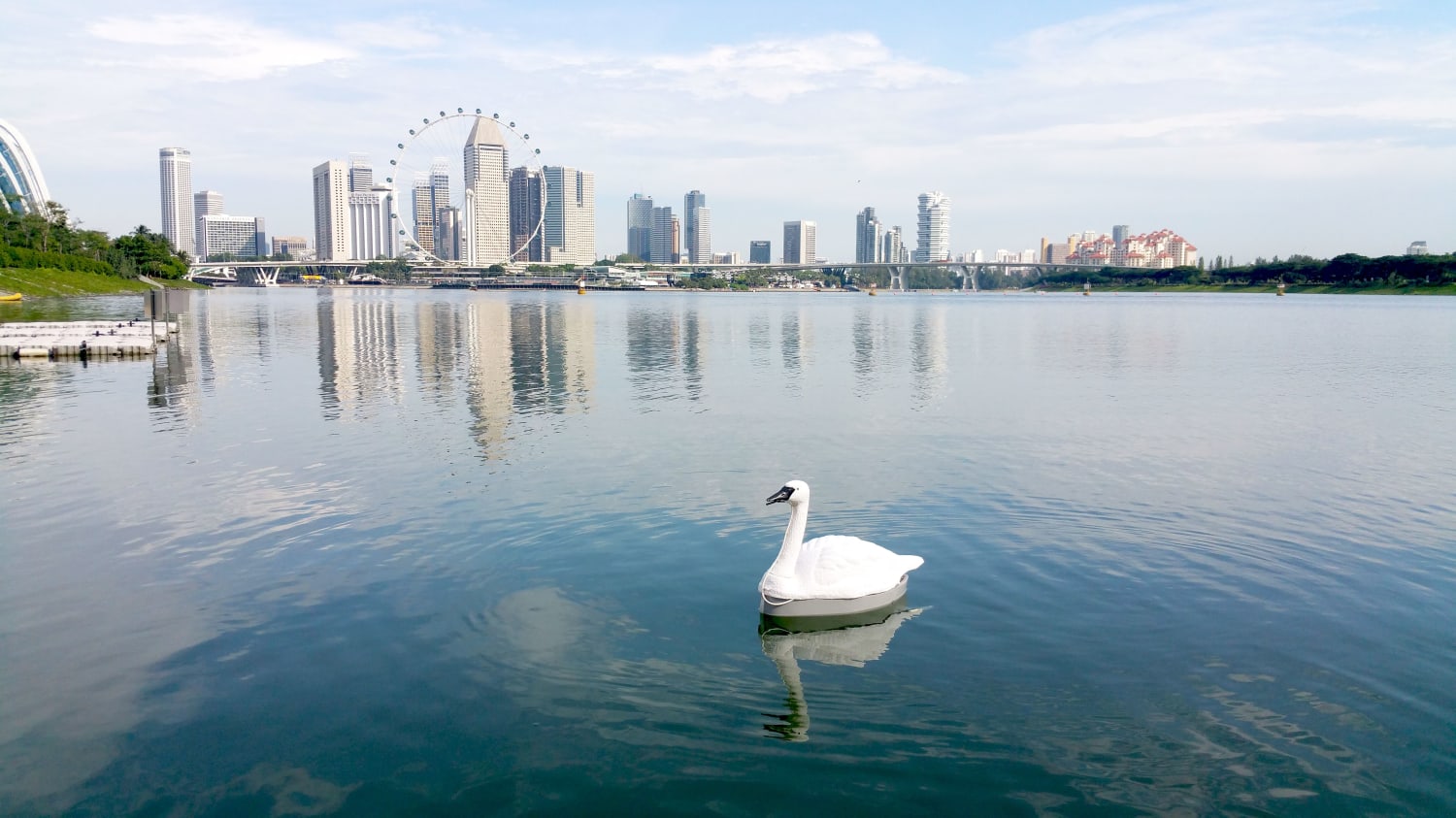 Researchers in Singapore Deploy Robot Swans to Test Water Quality