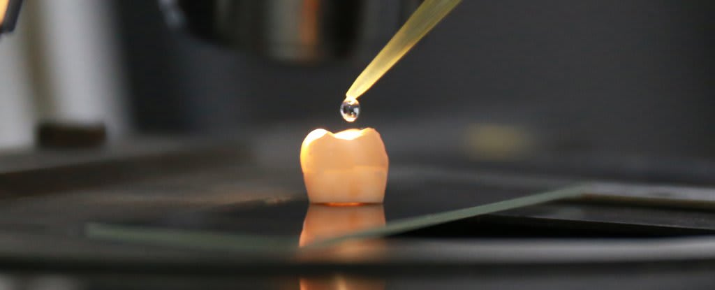 Scientists Have Developed a Genius Method That Actually Regenerates Tooth Enamel