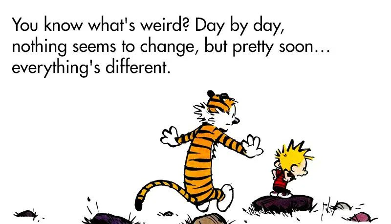 Hobbes speaking facts (as usual)