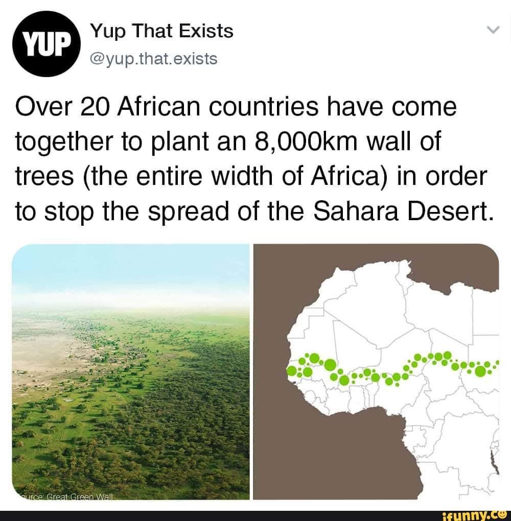 Over 20 African countries have come together to plant an 8,000km wall of trees (the entire width of Africa) in order to stop the spread of the Sahara Desert. - iFunny