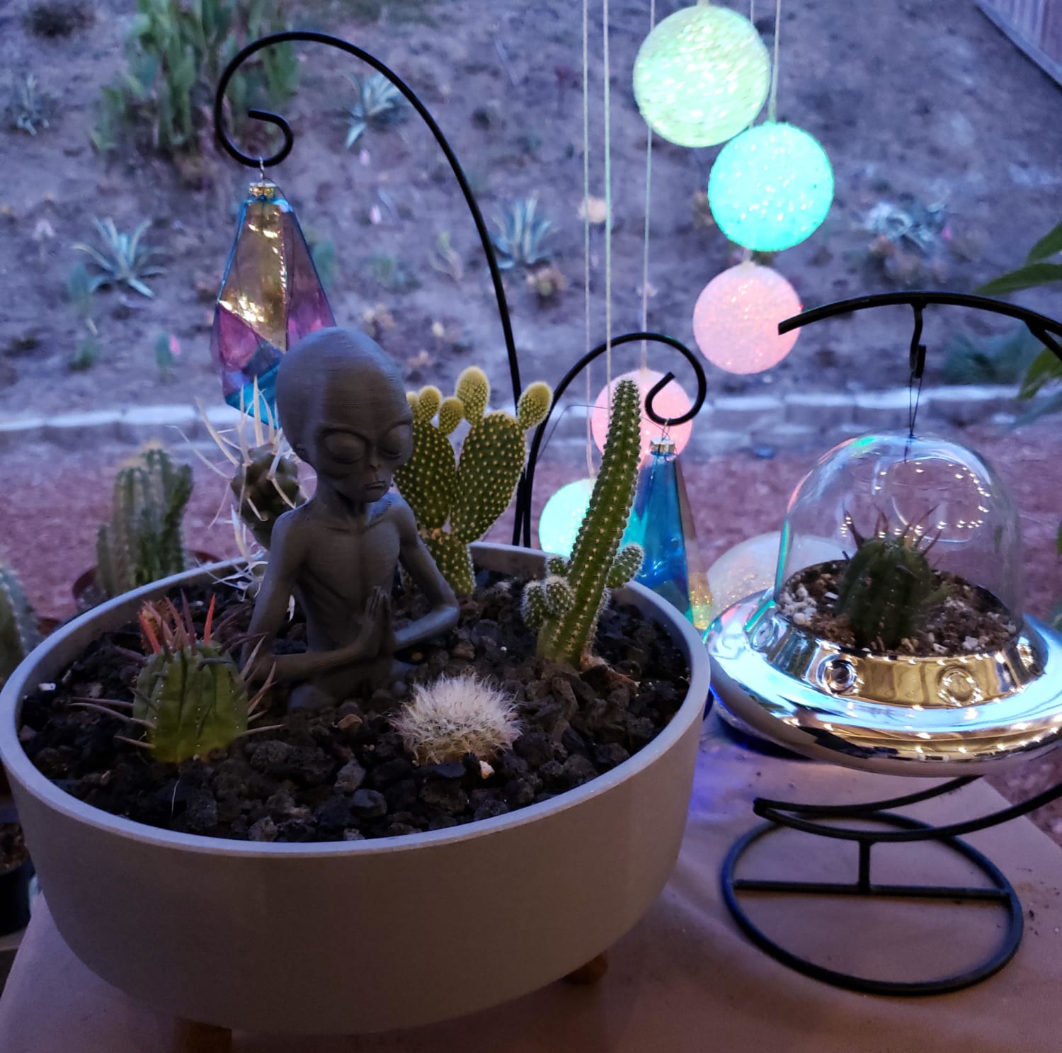 Thought you guys might enjoy seeing how much the alien pot has grown!! He also has a new friend in a blown glass UFO.