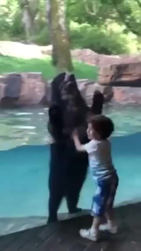 I will jump with you, little human