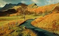 Pin by Cheryl Schoenfelder on ROADS and PATHWAYS | Country roads, Lake district, Landscape photography