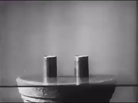 This 1951 video footage uses time-lapse photography to show the physical power of plants in their efforts to receive sunlight & fulfill their growth