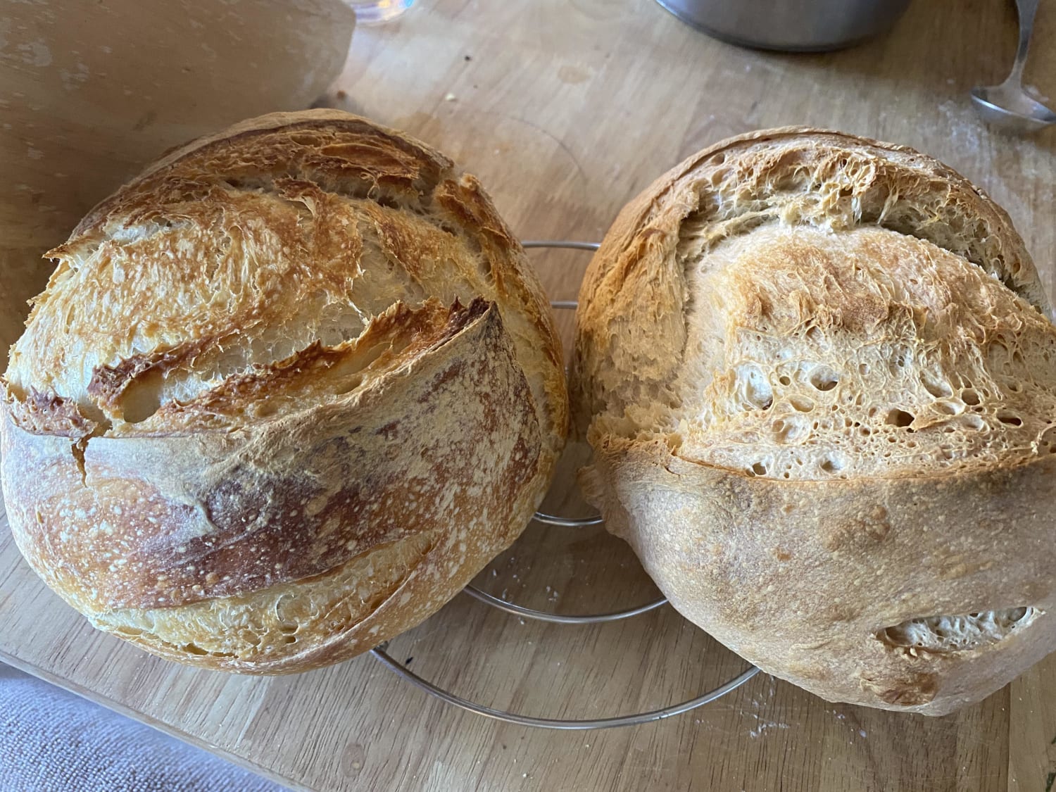 Left was in the Dutch oven, right was on a baking sheet. Makes a difference!