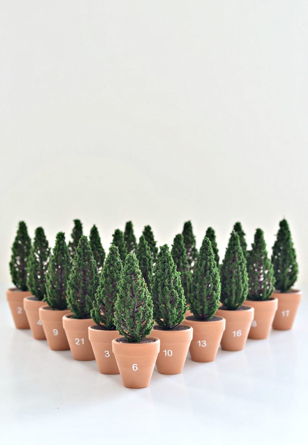 Planted! DIY Christmas advent calendar with mini planted trees