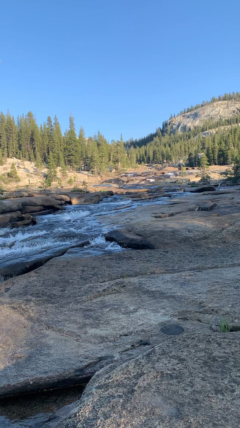 Golden hour in the Tuolumne River valley - backpacking in Yosemite National Park.