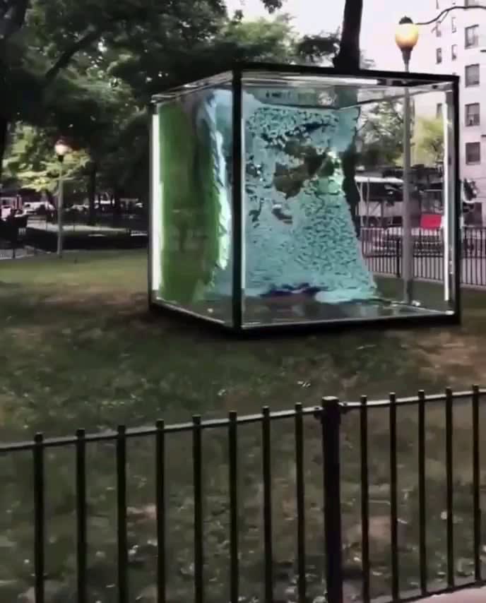 Street Aquarium