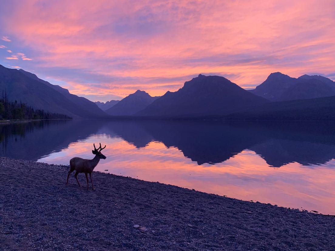 Sunrise on Lake McDonald, MT after a long night of mule deer walking through camp. First stop on a 3 day backcountry stay in Glacier National Park.