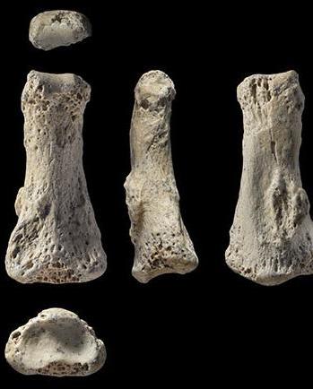 Finger fossil puts people in Arabia at least 86,000 years ago
