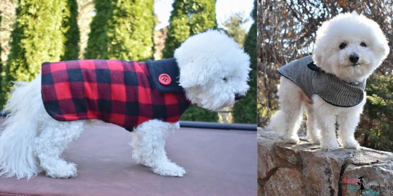 Latest Winter Fashion Trends For Your Pet