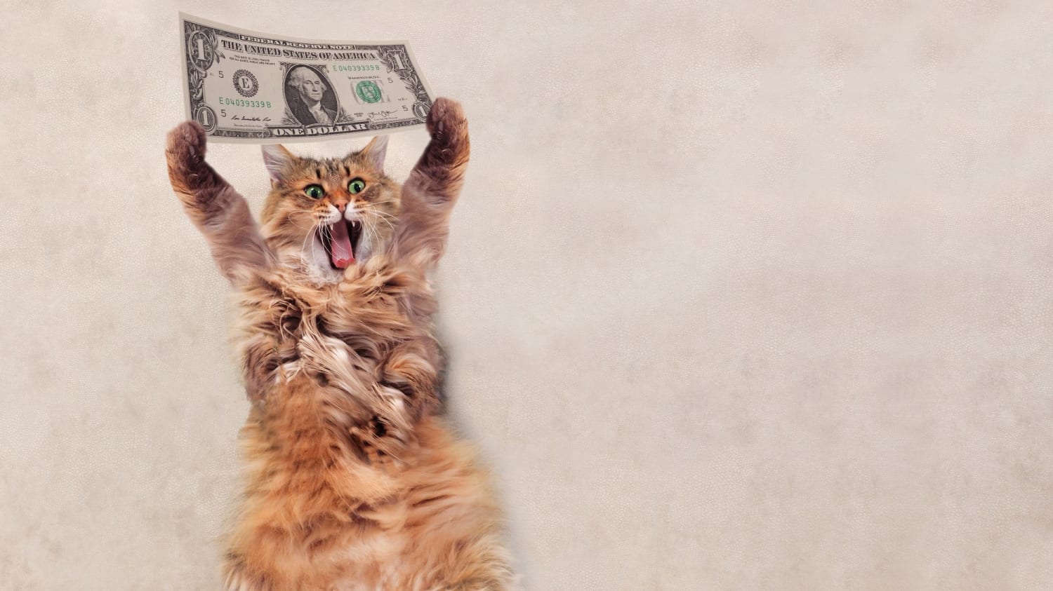 What Happens When a Pet Is Left Money in a Will?