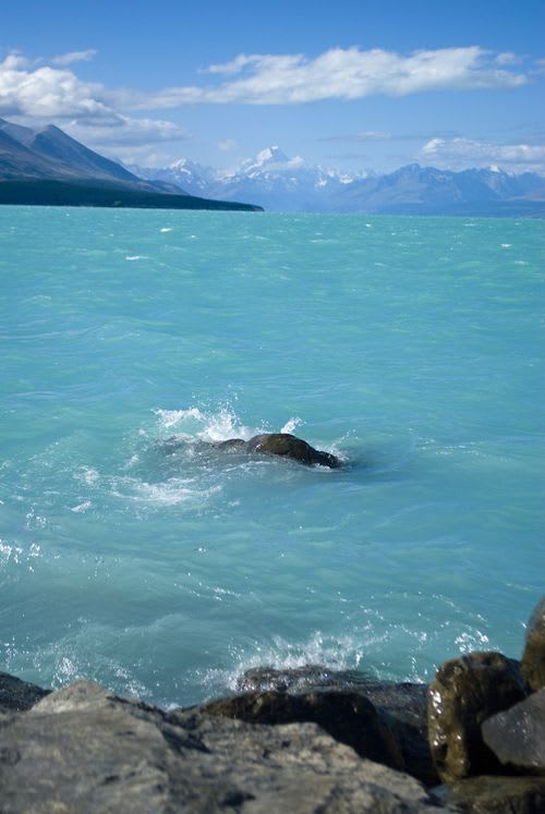 Turquoise Sea, South Island, New Zealand | Beautiful places to visit, Places to travel, Places to visit