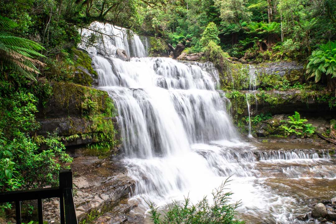 A Trip to the Dreamy Liffey Falls of Tasmania