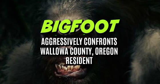 Bigfoot Aggressively Confronts Wallowa County, Oregon Resident
