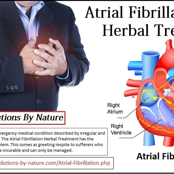 6 Herbal Treatments of Atrial Fibrillation - Herbs Solutions By Nature