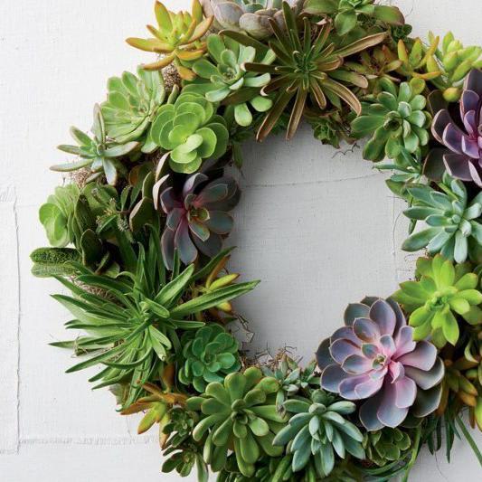 How to Make a Succulent Wreath With Real, Living Plants