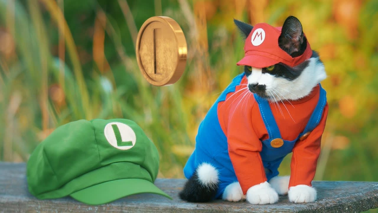 Super Mario Cat Bros.
