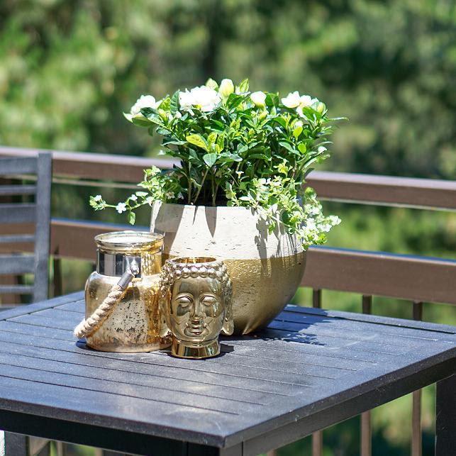 Gardening Guide: How To Quickly & Easily Update Your Patio - Inspirations and Celebrations