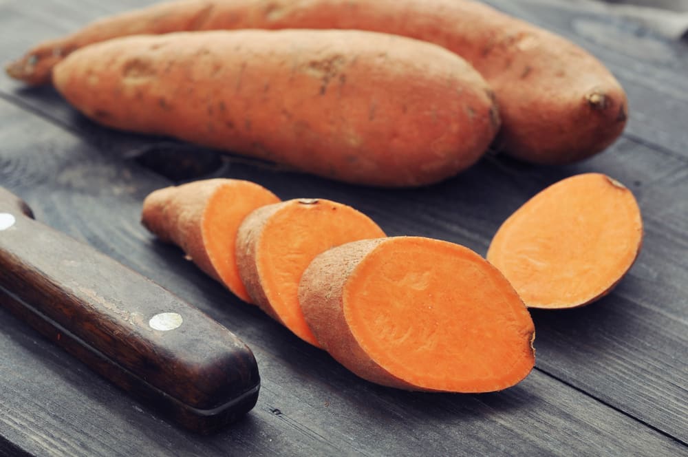 Sweet Potatoes Alert Their Buddies to Pest Attacks