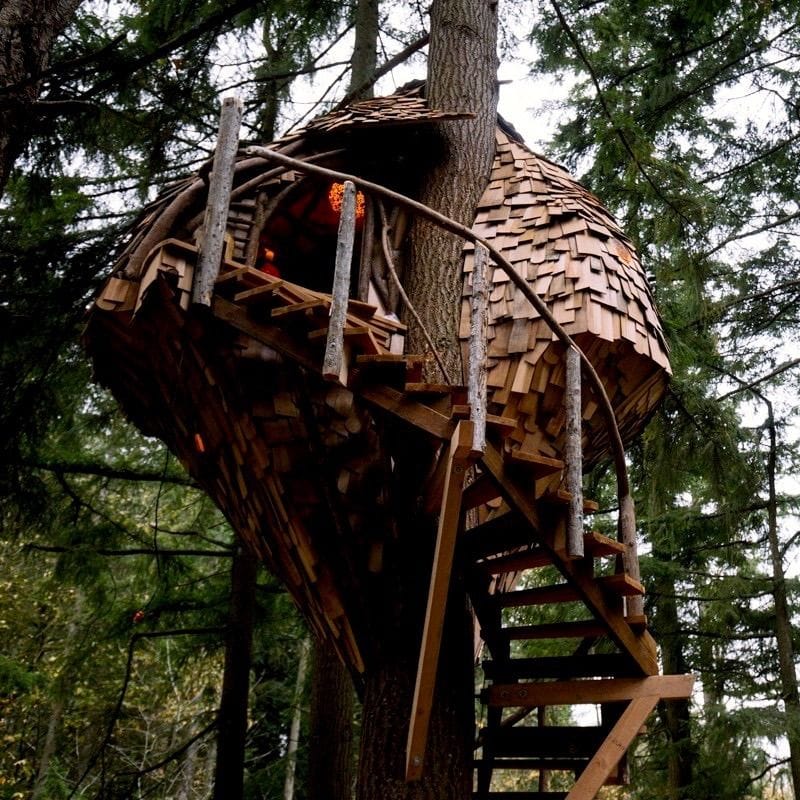 Honeycomb-Treehouse © Joshua Lewis