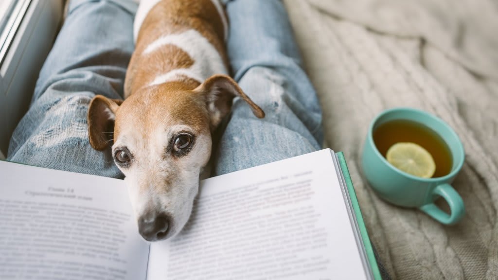 5 Books to Read If You're Stuck at Home Thanks to Coronavirus