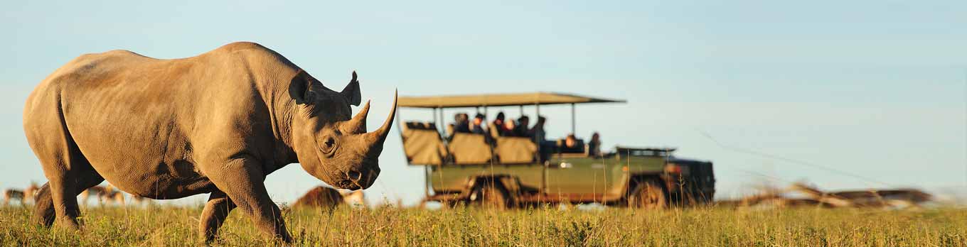 Book South Africa Safari Tour Packages For Honeymoon and Holidays