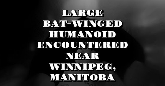 Large Bat-Winged Humanoid Encountered Near Winnipeg, Manitoba