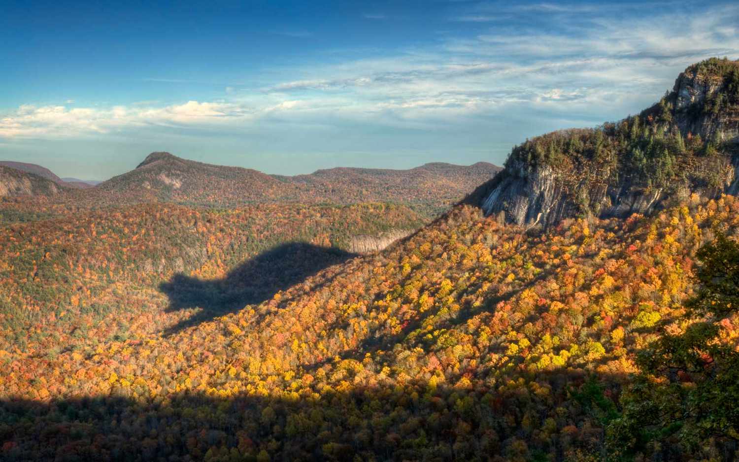 When and Where to See the Shadow of the Bear in North Carolina
