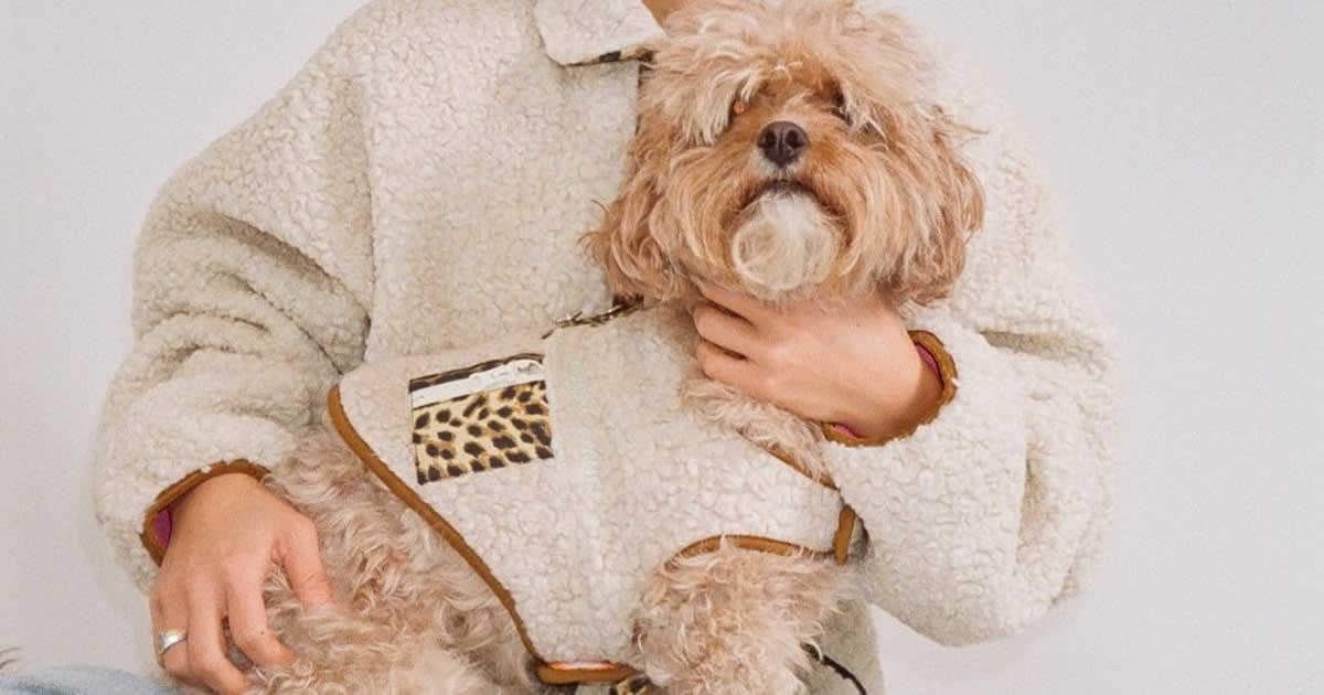 Your Dog Can Wear Sandy Liang's Coveted Fleece Jacket, Too