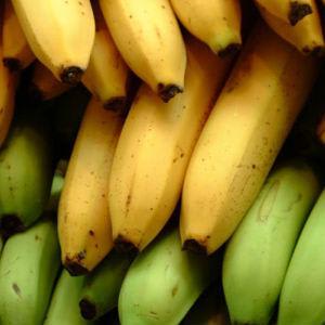 Banana Facts, Nutrition and Health Benefits