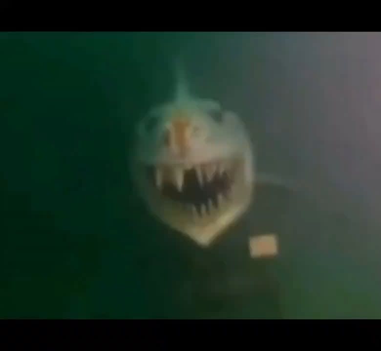 A terrifying shark statue underwater at the bottom of Lake Neuchâtel in Switzerland