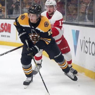 Bruins forward Anders Bjork out for the year after shoulder surgery