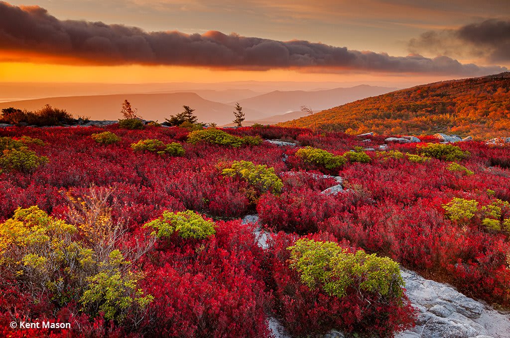 The Nature Conservancy's Bear Rocks Preserve is remote, rugged, highelevation West Virginia