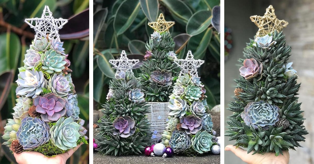 Succulents Are Creatively Turned Into Festive Mini Christmas Trees