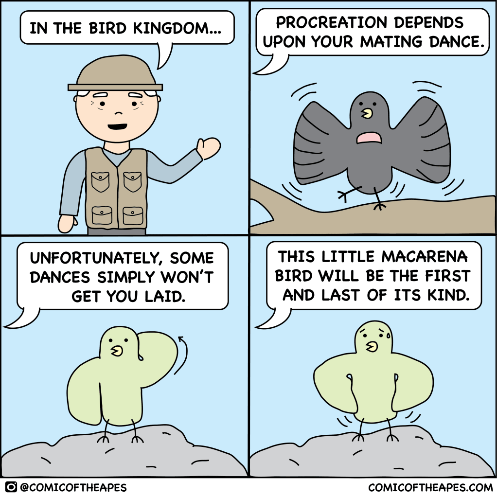 In the Bird Kingdom