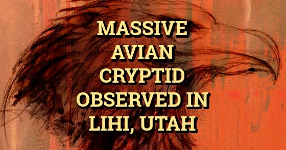 Massive Avian Cryptid Observed in Lihi, Utah