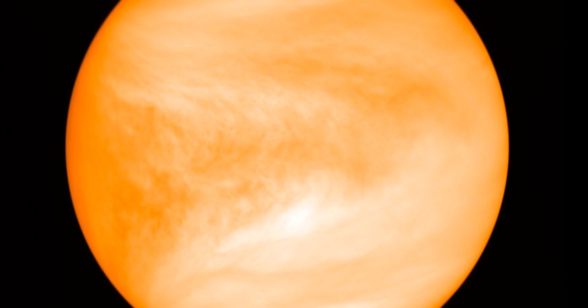 Astronomers Spot Possible Signs Of Extraterrestrial Life In Venus's Clouds