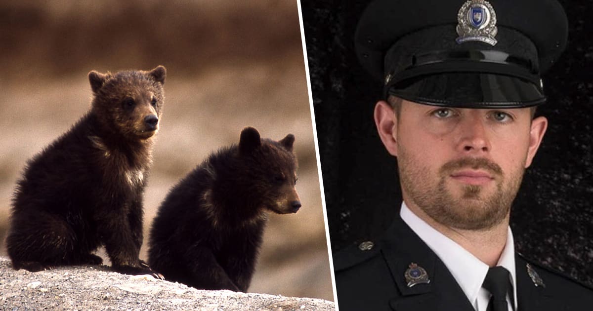Canadian Conservation Officer Fired For Refusing To Kill Bear Cubs Wins Legal Battle To Clear His Name