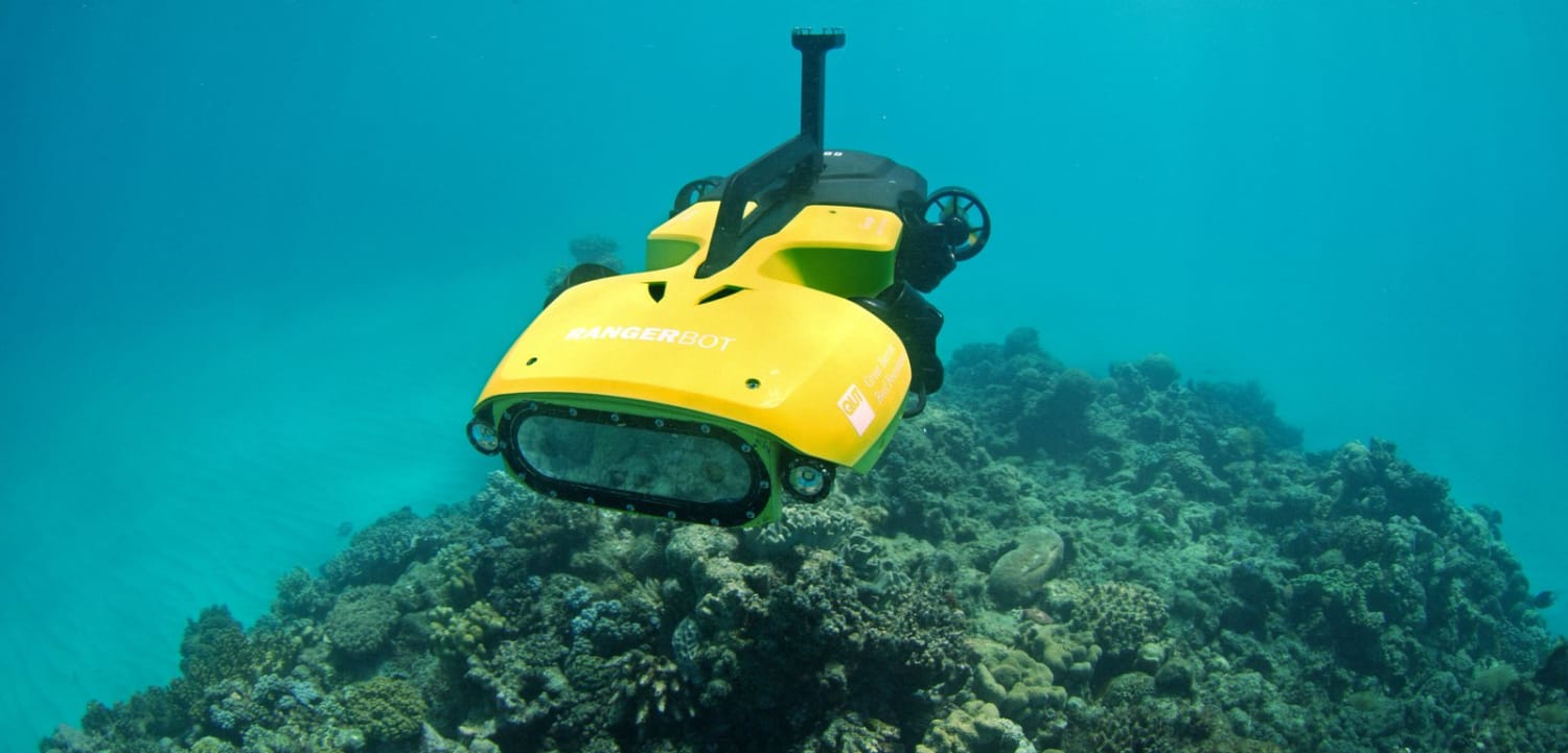 Sea-Star Murdering Robots Are Deployed in the Great Barrier Reef