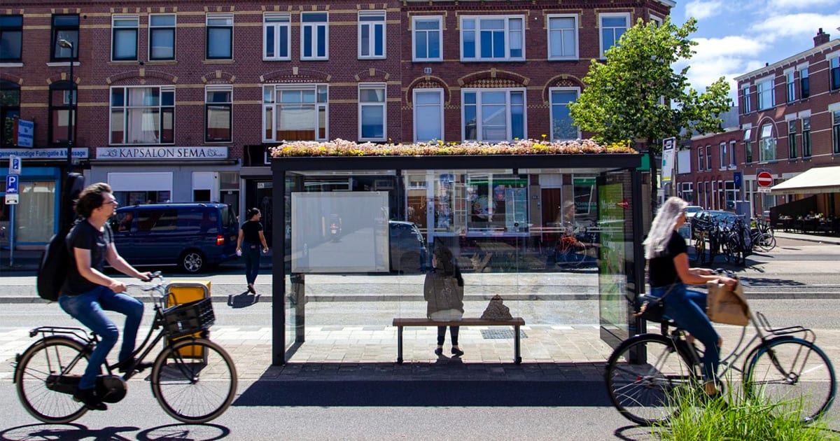 New Green Roof Bus Stops in Utrecht Cater to Commuting Bees