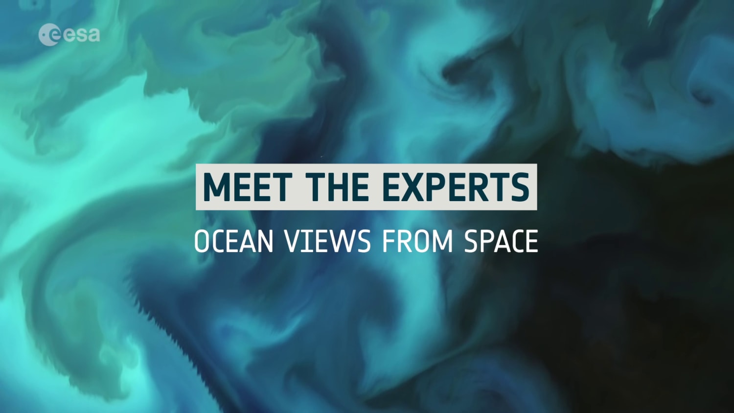 Meet the Experts: Ocean views from space