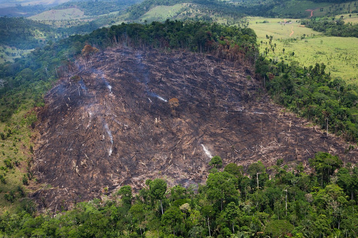 Wondering whether the AmazonRainforest is still burning? The answer is yes. Last week, @wwf_brasil accompanied by photographer Araquém Alcântara flew over the rainforest to take these eye-opening pictures.